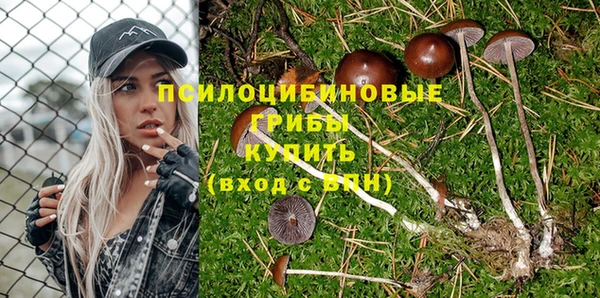 стаф Баксан